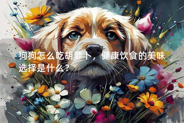 狗狗怎么吃胡萝卜，健康饮食的美味选择是什么？