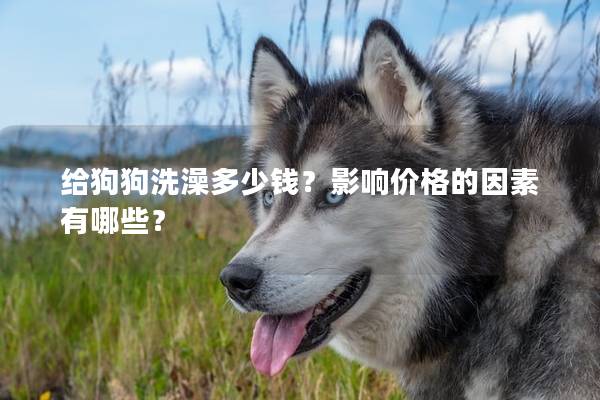 给狗狗洗澡多少钱？影响价格的因素有哪些？