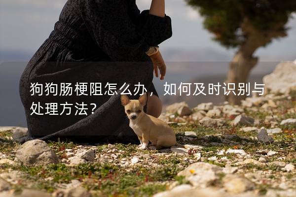 狗狗肠梗阻怎么办，如何及时识别与处理方法？