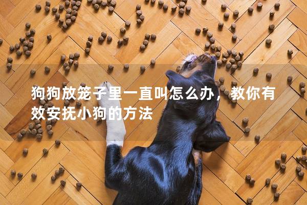 狗狗放笼子里一直叫怎么办，教你有效安抚小狗的方法