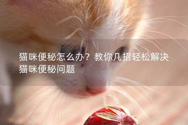 猫咪便秘怎么办？教你几招轻松解决猫咪便秘问题