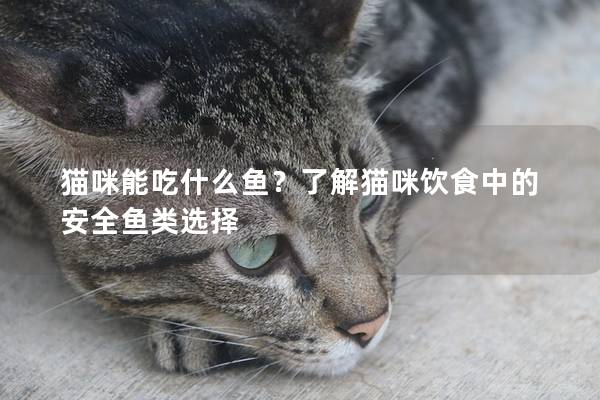 猫咪能吃什么鱼？了解猫咪饮食中的安全鱼类选择