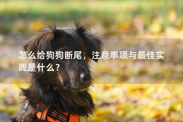 怎么给狗狗断尾，注意事项与最佳实践是什么？
