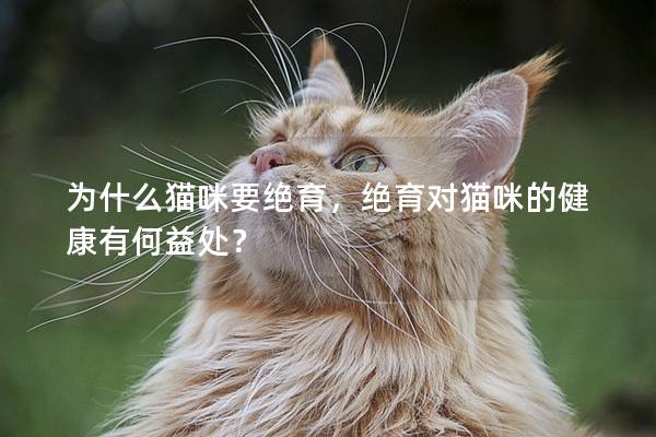 为什么猫咪要绝育，绝育对猫咪的健康有何益处？