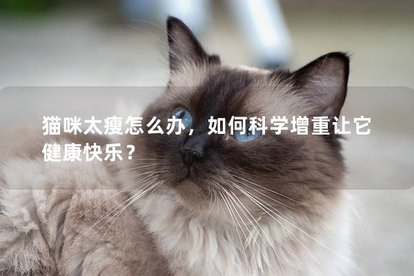猫咪太瘦怎么办，如何科学增重让它健康快乐？