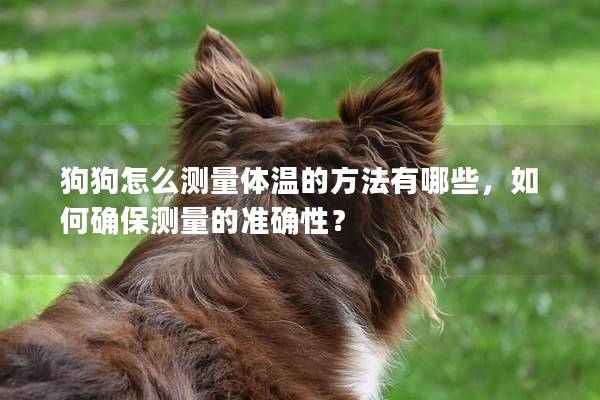 狗狗怎么测量体温的方法有哪些，如何确保测量的准确性？