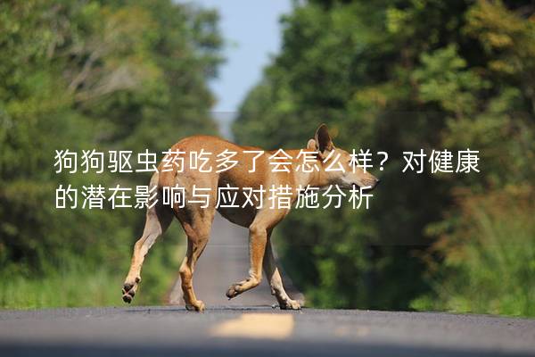 狗狗驱虫药吃多了会怎么样？对健康的潜在影响与应对措施分析