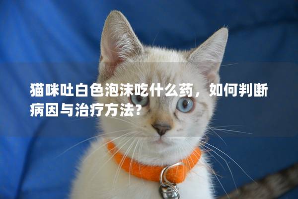 猫咪吐白色泡沫吃什么药，如何判断病因与治疗方法？