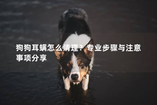 狗狗耳螨怎么清理？专业步骤与注意事项分享