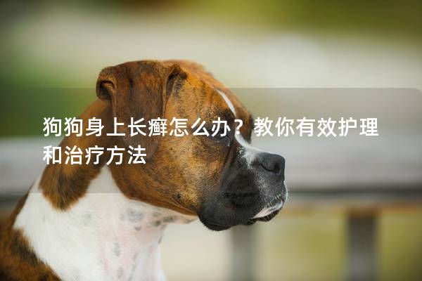 狗狗身上长癣怎么办？教你有效护理和治疗方法