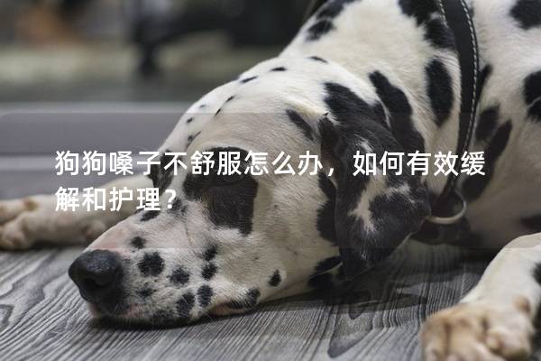 狗狗嗓子不舒服怎么办，如何有效缓解和护理？