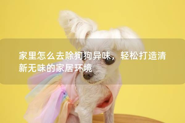 家里怎么去除狗狗异味，轻松打造清新无味的家居环境
