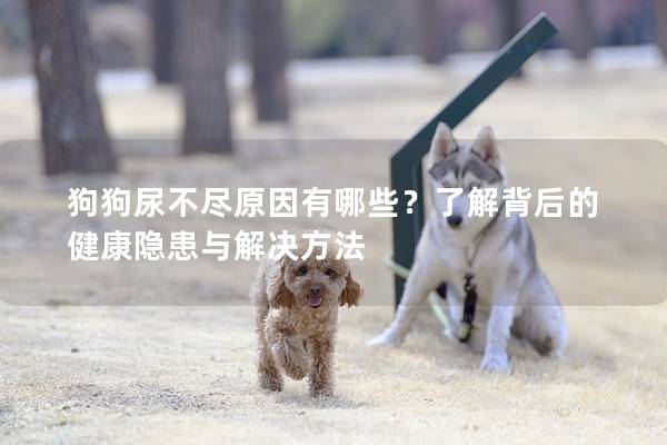 狗狗尿不尽原因有哪些？了解背后的健康隐患与解决方法