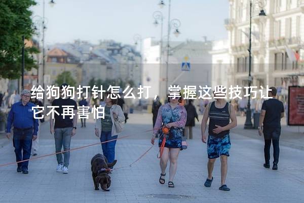 给狗狗打针怎么打，掌握这些技巧让它不再害怕