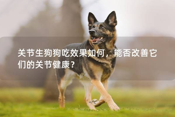 关节生狗狗吃效果如何，能否改善它们的关节健康？