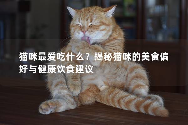 猫咪最爱吃什么？揭秘猫咪的美食偏好与健康饮食建议