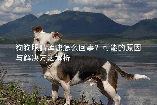 狗狗眼睛浑浊怎么回事？可能的原因与解决方法解析