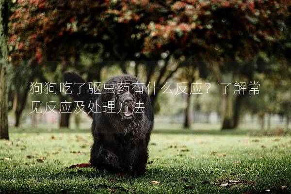 狗狗吃了驱虫药有什么反应？了解常见反应及处理方法