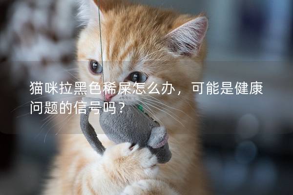 猫咪拉黑色稀屎怎么办，可能是健康问题的信号吗？