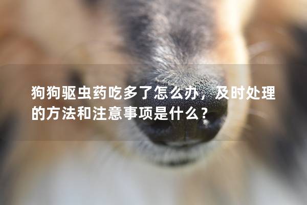 狗狗驱虫药吃多了怎么办，及时处理的方法和注意事项是什么？