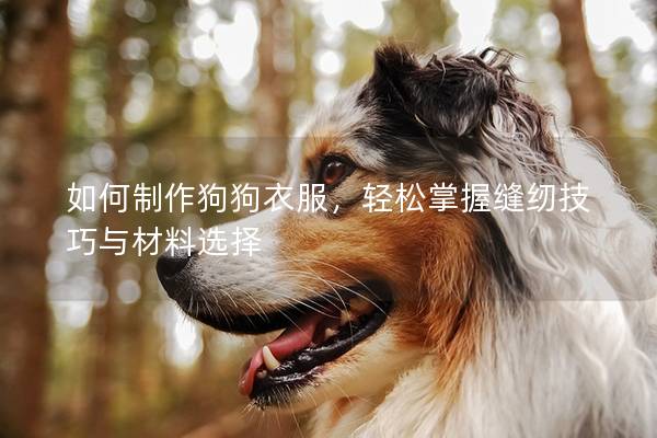 如何制作狗狗衣服，轻松掌握缝纫技巧与材料选择