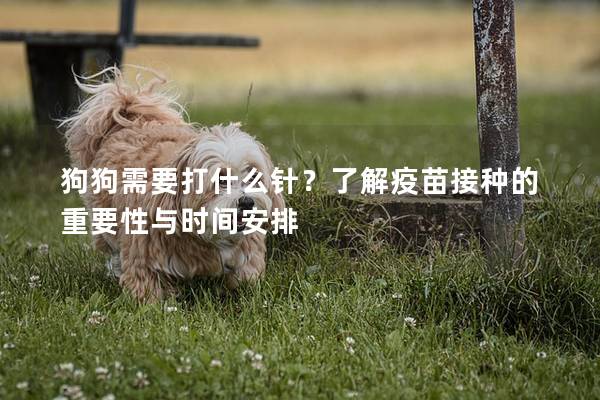狗狗需要打什么针？了解疫苗接种的重要性与时间安排