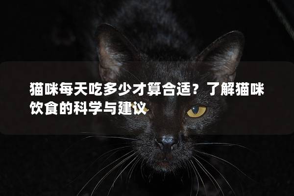 猫咪每天吃多少才算合适？了解猫咪饮食的科学与建议