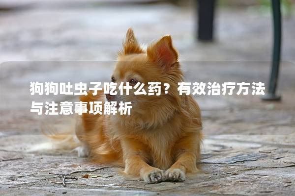 狗狗吐虫子吃什么药？有效治疗方法与注意事项解析