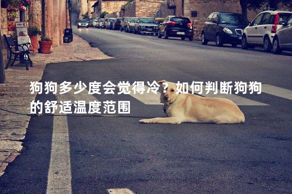 狗狗多少度会觉得冷？如何判断狗狗的舒适温度范围