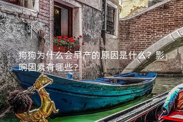 狗狗为什么会早产的原因是什么？影响因素有哪些？