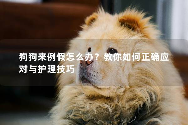 狗狗来例假怎么办？教你如何正确应对与护理技巧