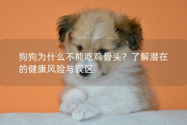狗狗为什么不能吃鸡骨头？了解潜在的健康风险与误区
