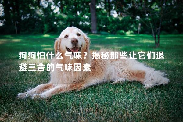 狗狗怕什么气味？揭秘那些让它们退避三舍的气味因素