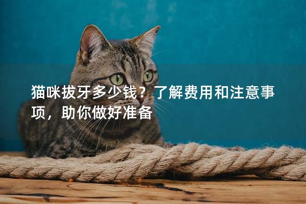 猫咪拔牙多少钱？了解费用和注意事项，助你做好准备