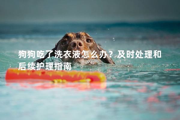 狗狗吃了洗衣液怎么办？及时处理和后续护理指南