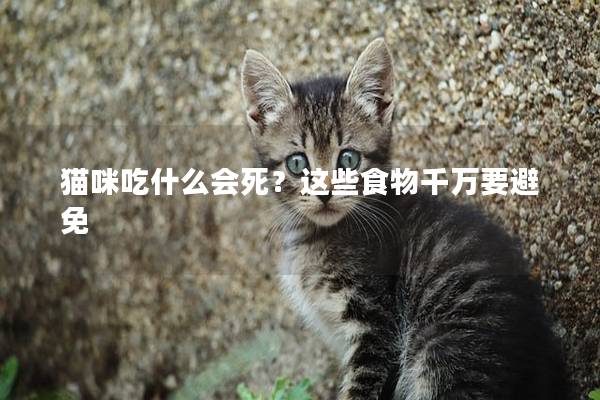 猫咪吃什么会死？这些食物千万要避免