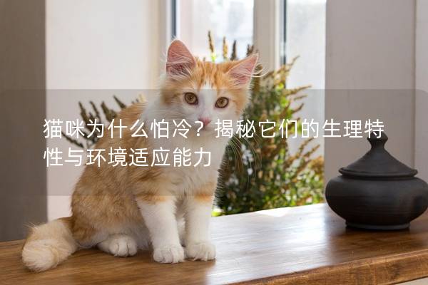 猫咪为什么怕冷？揭秘它们的生理特性与环境适应能力