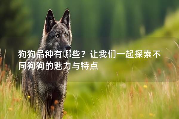 狗狗品种有哪些？让我们一起探索不同狗狗的魅力与特点