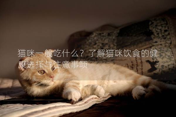 猫咪一般吃什么？了解猫咪饮食的健康选择与注意事项