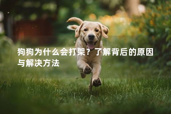狗狗为什么会打架？了解背后的原因与解决方法