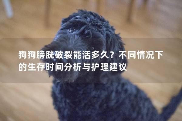 狗狗膀胱破裂能活多久？不同情况下的生存时间分析与护理建议