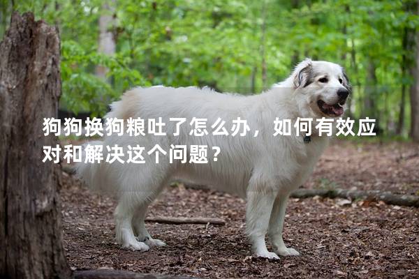 狗狗换狗粮吐了怎么办，如何有效应对和解决这个问题？