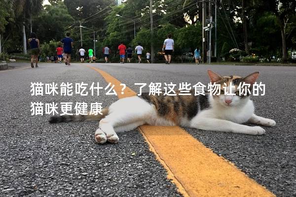 猫咪能吃什么？了解这些食物让你的猫咪更健康
