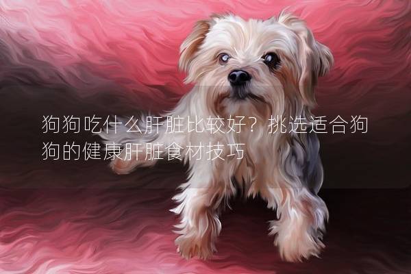 狗狗吃什么肝脏比较好？挑选适合狗狗的健康肝脏食材技巧