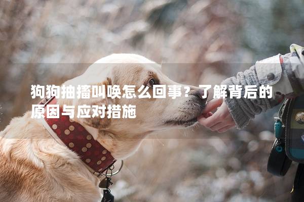 狗狗抽搐叫唤怎么回事？了解背后的原因与应对措施