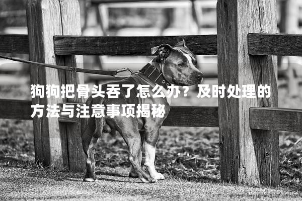 狗狗把骨头吞了怎么办？及时处理的方法与注意事项揭秘