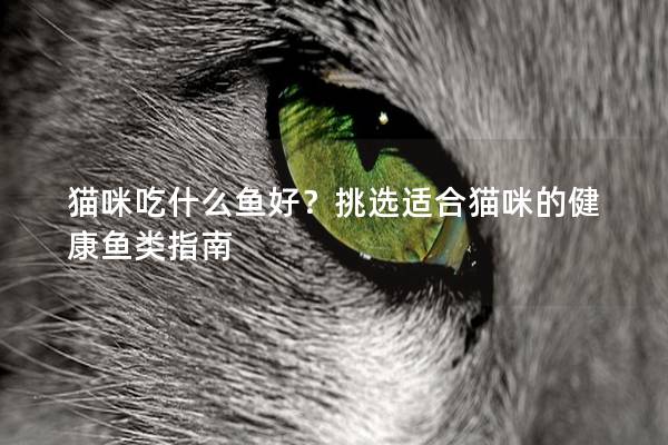 猫咪吃什么鱼好？挑选适合猫咪的健康鱼类指南