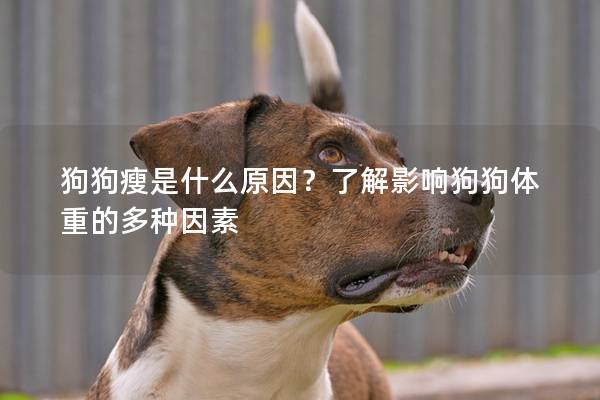 狗狗瘦是什么原因？了解影响狗狗体重的多种因素
