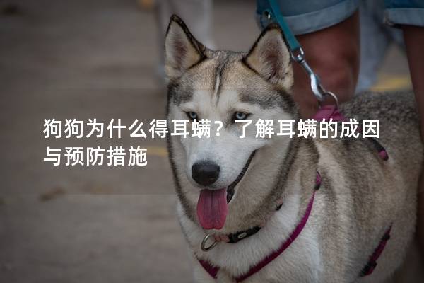 狗狗为什么得耳螨？了解耳螨的成因与预防措施