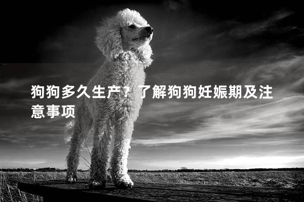 狗狗多久生产？了解狗狗妊娠期及注意事项